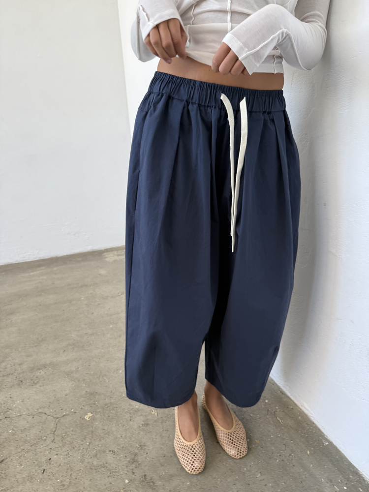 HUDSON NAVY PANTS