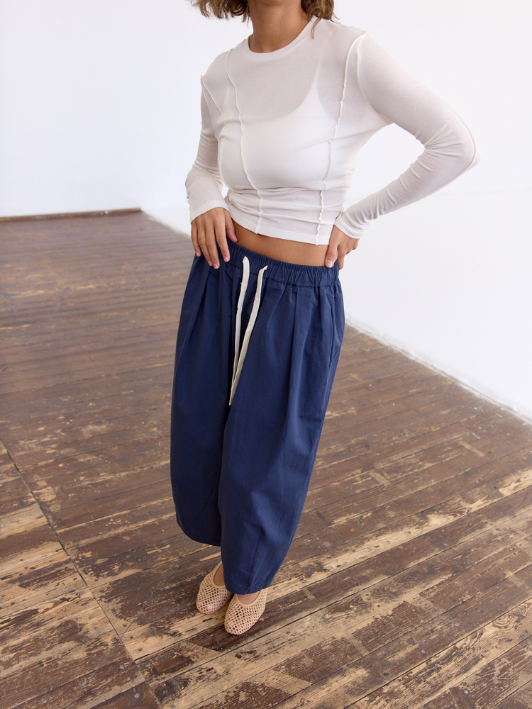 HUDSON NAVY PANTS