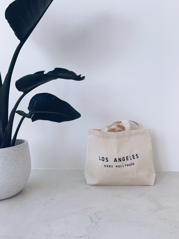 The Bag LOS ANGELES