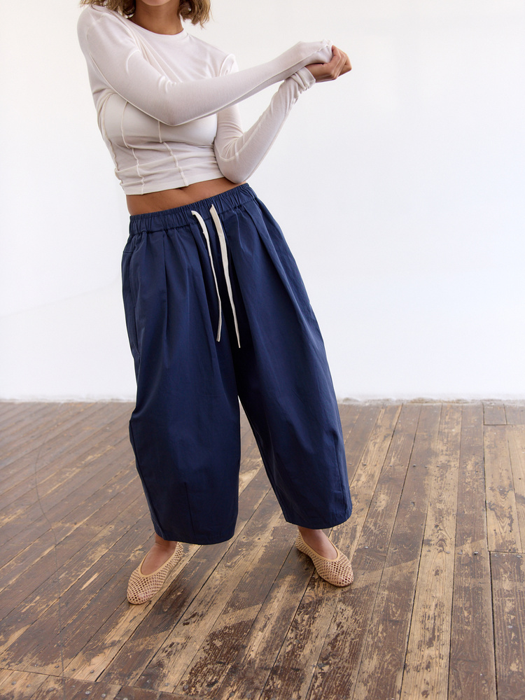 HUDSON NAVY PANTS